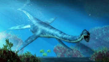 100 Milyon Yıllık Elasmosaurus İskeleti Bulundu