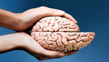Beyin Neden Küçülür?