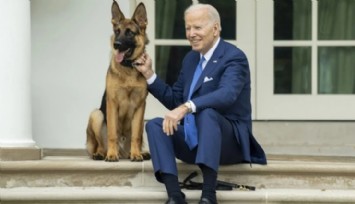 Biden'ın Köpeği Beyaz Saray'dan Uzaklaştırıldı!