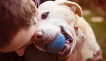 Köpeğinizin Yüzü Aranızdaki İletişimin Gücünü Gösteriyor!