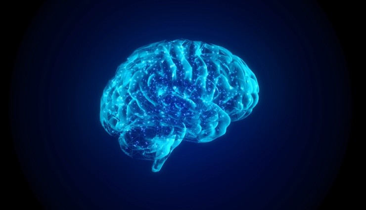 Beyni Canlı Tutabilen Cihaz İcat Edildi!