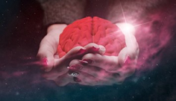 Nörologlar, Hafızayı Kuvvetlendiren Besinleri Açıkladı!