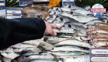 ÖZEL: Balık Fiyatları Cep Yakıyor!
