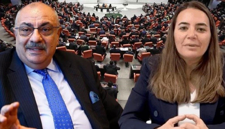 Türkeş'in İki Çocuğu da Meclis'te!