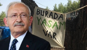 Kılıçdaroğlu ve CHP'li Vekiller Akbelen'e Gidiyor!