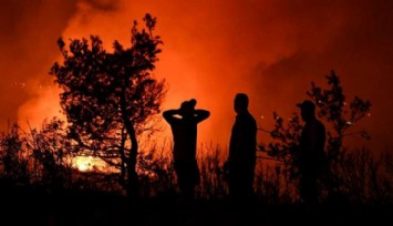 Orman Yangınları Neden Durdurulamıyor?