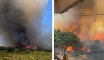 Maltepe Ormanı Yangını: 2 Kişi Gözaltında!