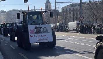 İsviçre'de çiftçiler Protesto Düzenledi!