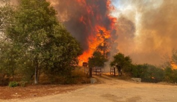 Şili’deki Orman Yangınlarında 10 Kişi Öldü!
