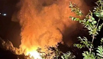 Yalova'da Orman Yangını: 2 Gözaltı!